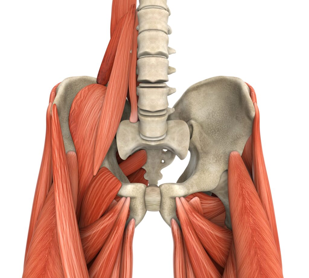 Hip Flexor Pain Hip Strain Lucas Massage Therapy