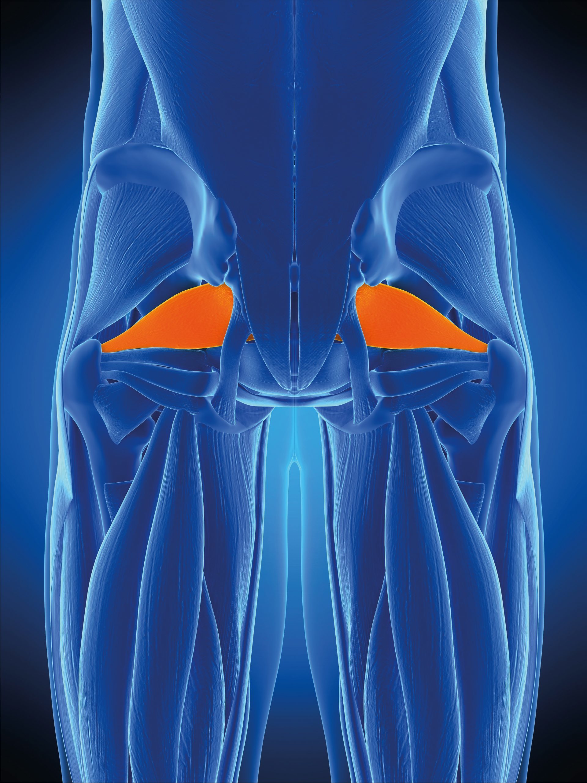 Piriformis Syndrome Lucas Massage Therapy